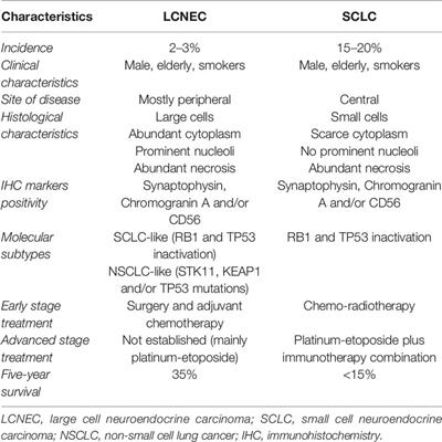 Large Cell Neuro-Endocrine Carcinoma of the Lung: Current Treatment Options and Potential Future Opportunities